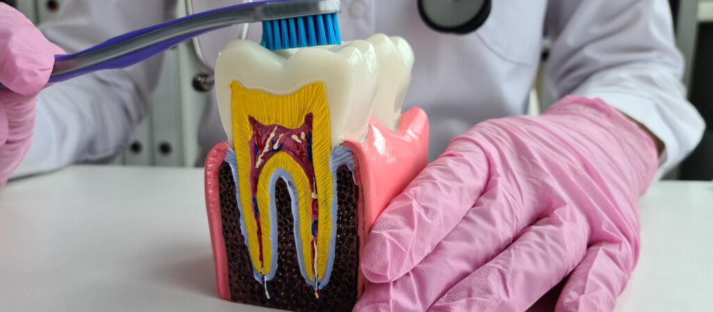 عوارض و مراقبت‌ها: بعد از درمان ریشه دندان چه انتظاری داشته باشید؟